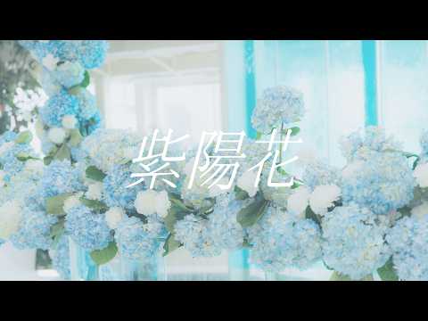 紫陽花